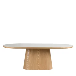 ALMIRA Table à manger 8 personnes ovale en pierre et bois