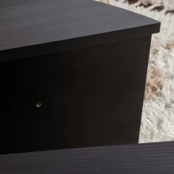 ASYA Lot de 2 tables basses en bois