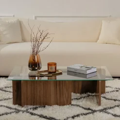 CUBIX Table basse en verre trempé et bois