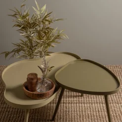 MAE Table basse de forme organique en bois 100x35cm