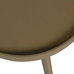 MAE Table basse de forme organique en bois 61x40cm