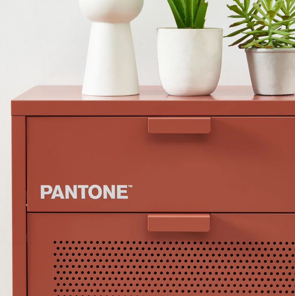 NINO Meuble à chaussures 2 portes 1 tiroir en métal PANTONE L55cm