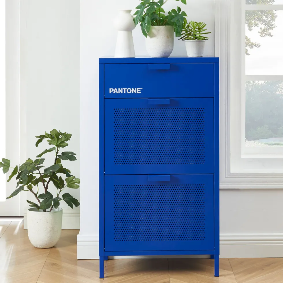 NINO Meuble à chaussures 2 portes 1 tiroir en métal PANTONE L55cm