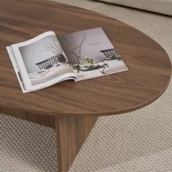 ORIS Table basse organique en bois 120x65cm