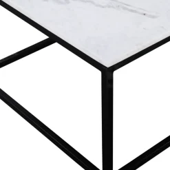 SAKU Table basse en marbre et métal 120x65cm