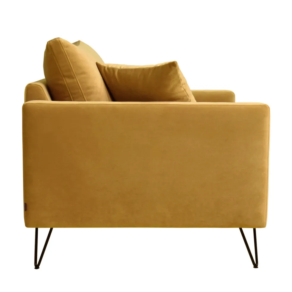 VILLABON Fauteuil XL en velours pieds épingles noirs