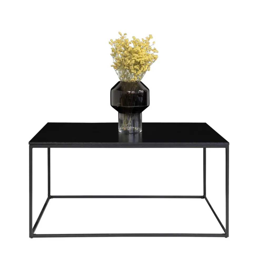 VITA Table basse en métal et bois