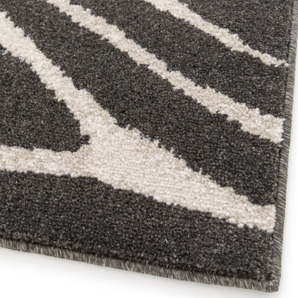 ZEBRA Tapis graphique à motif zébré