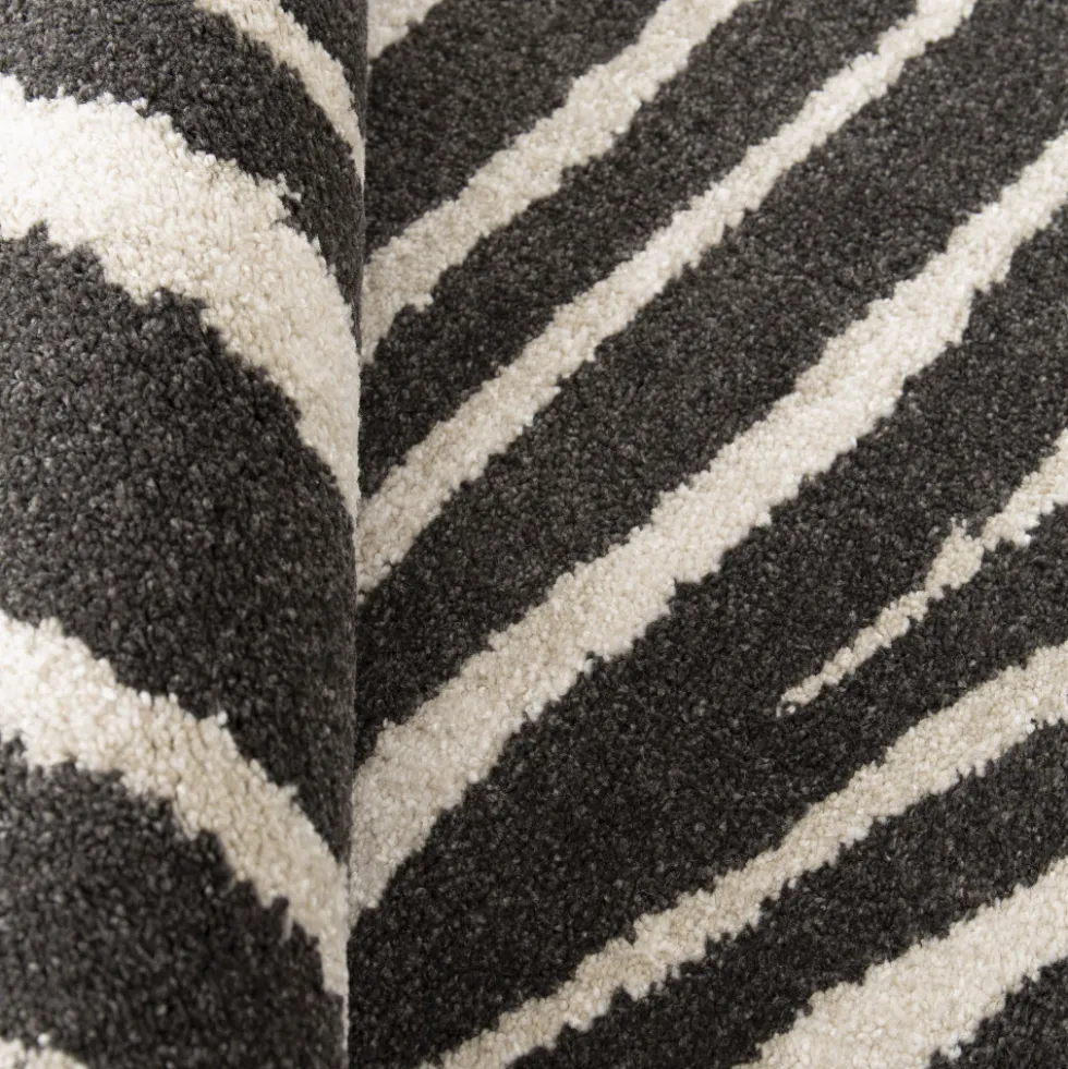 ZEBRA Tapis graphique à motif zébré